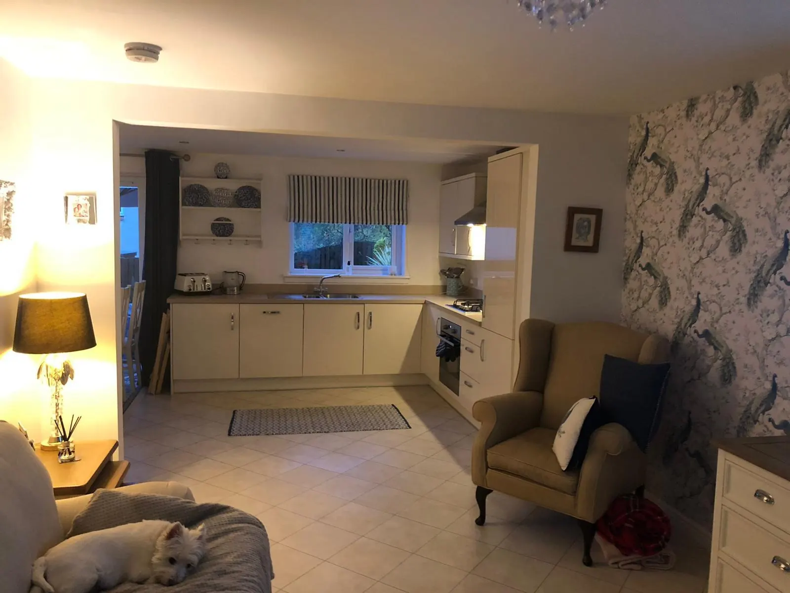 Open-plan kitchen and living area after fitting